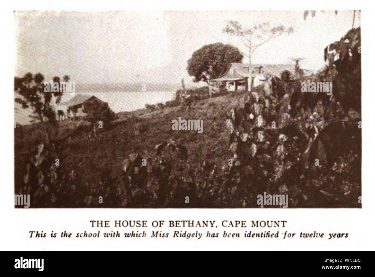 Bethany house hires stock photography and images Alamy