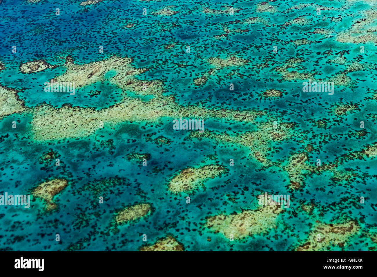 An aerial view of a coral reef rising up through turquoise seas. Stock Photo