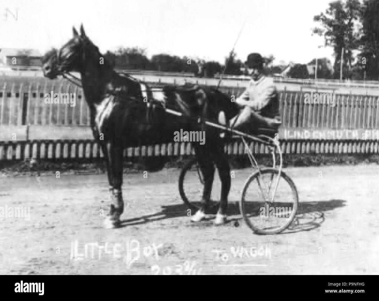 23 1895  Little Boy  Fairgrounds Horse Racing  Allentown PA Stock