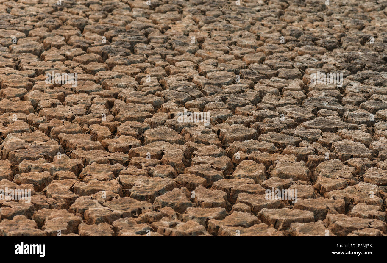 Cracked soil during the drought season,backdrop or background. Stock Photo