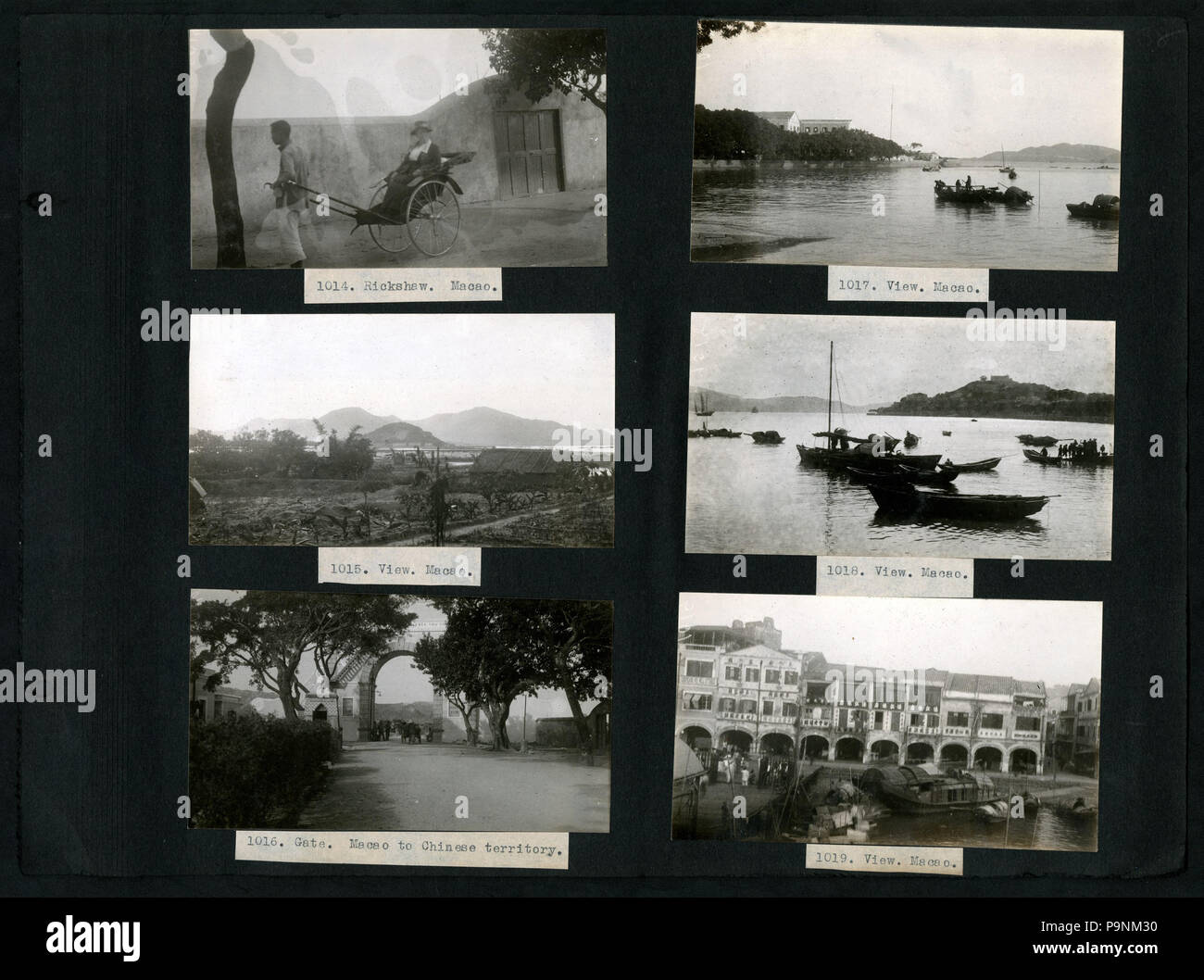 73 782--1118, A. S. Hitchcock- Asia, 1921, Georgia and Florida, Panama and Ecuador, 1923, includes photographs of Floyd A. McClure (Page 69) BHL48070035 Stock Photo