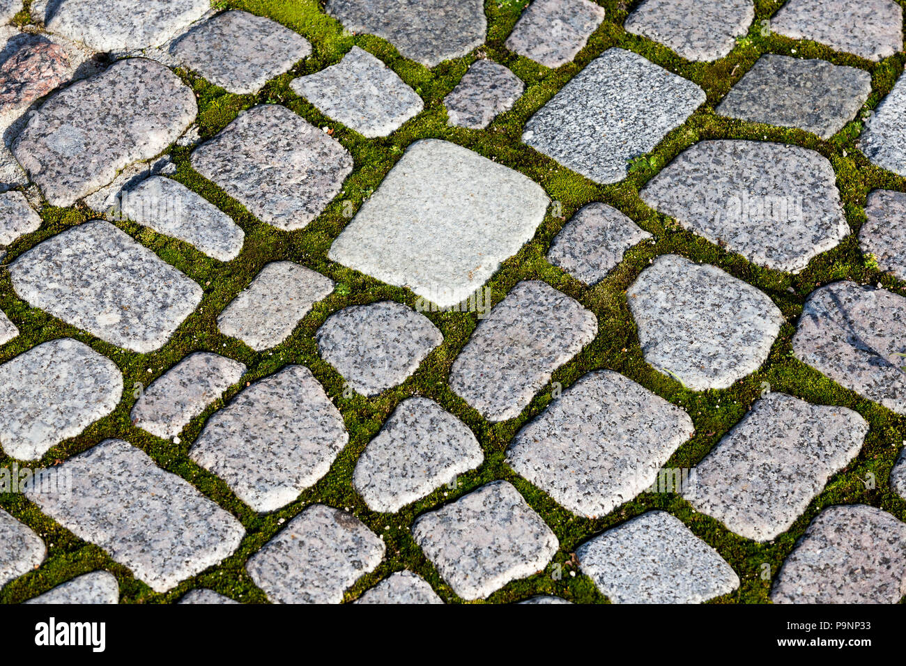 stone road, between the cobblestones on which grows green moss, close-up photo Stock Photo