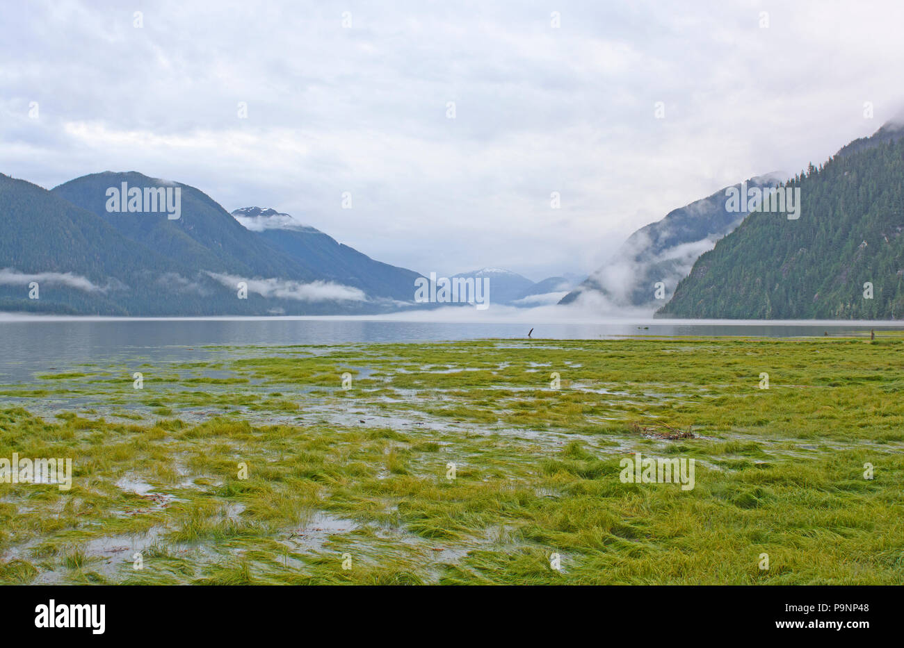 Hyder alaska hires stock photography and images Alamy