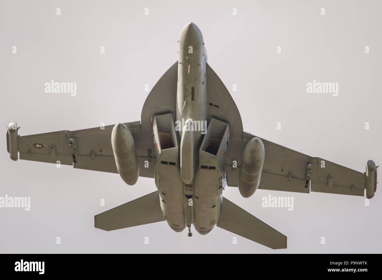 A U.S Navy EA18G Growler assigned Electronic Attack Squadron (VAQ) 139