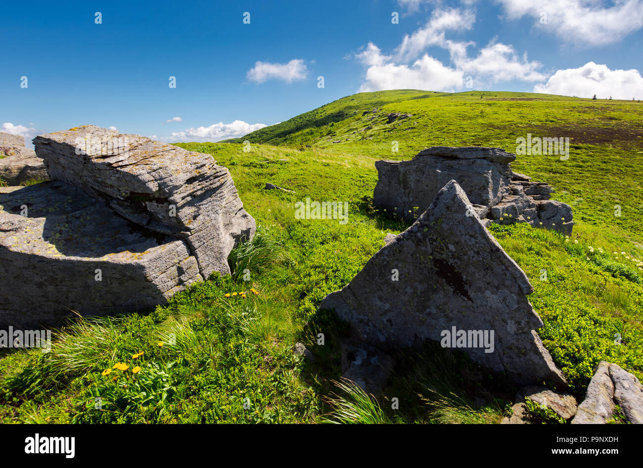 huge rocky formation on hillside. lovely summer scene in mountains. beautiful nature background of alpine meadows Stock Photo