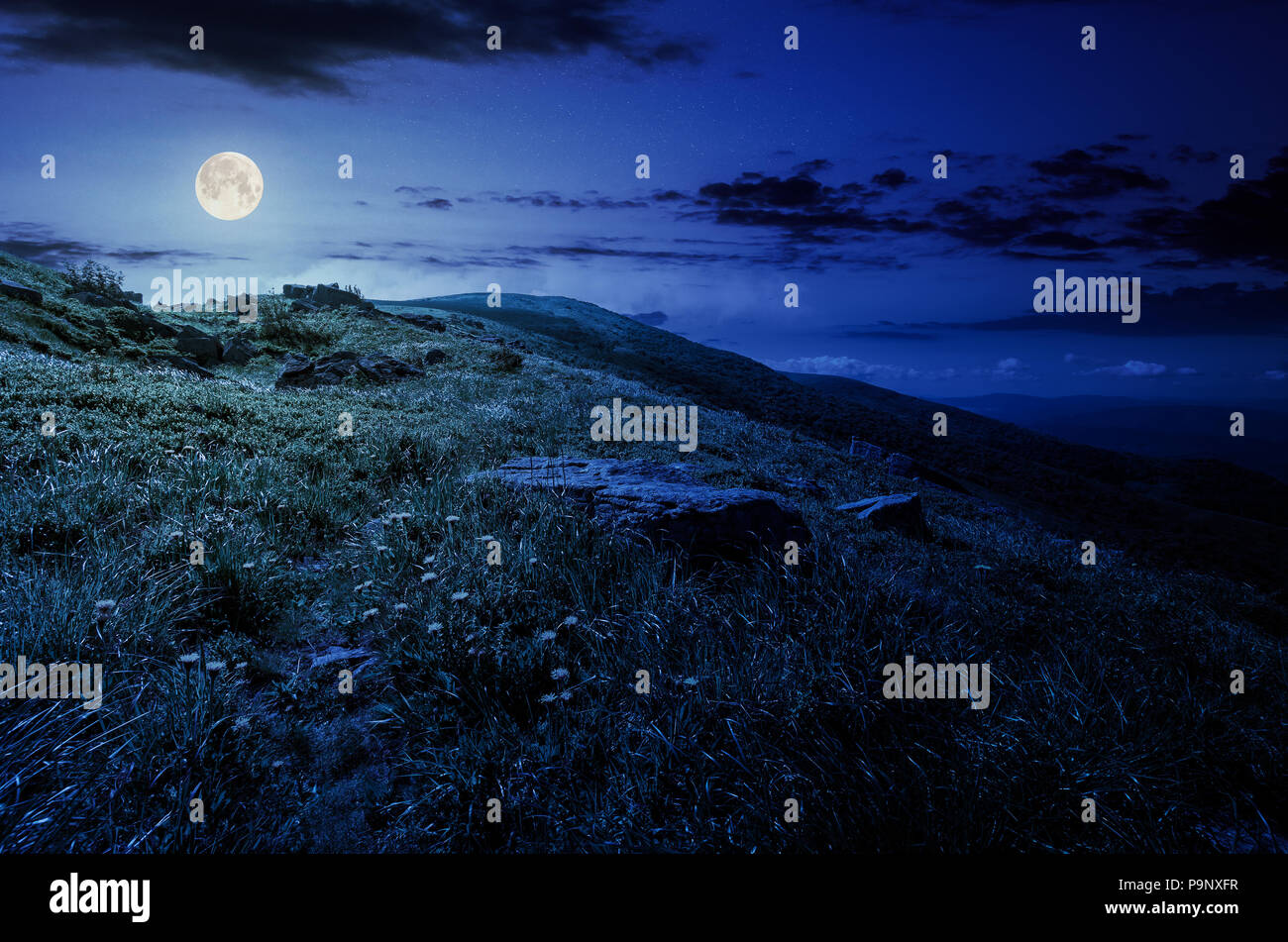 rocks on grassy hillside of the mountain at night in full moon light. yellow dandelions along the path uphill in to the sky with fluffy clouds. beauti Stock Photo