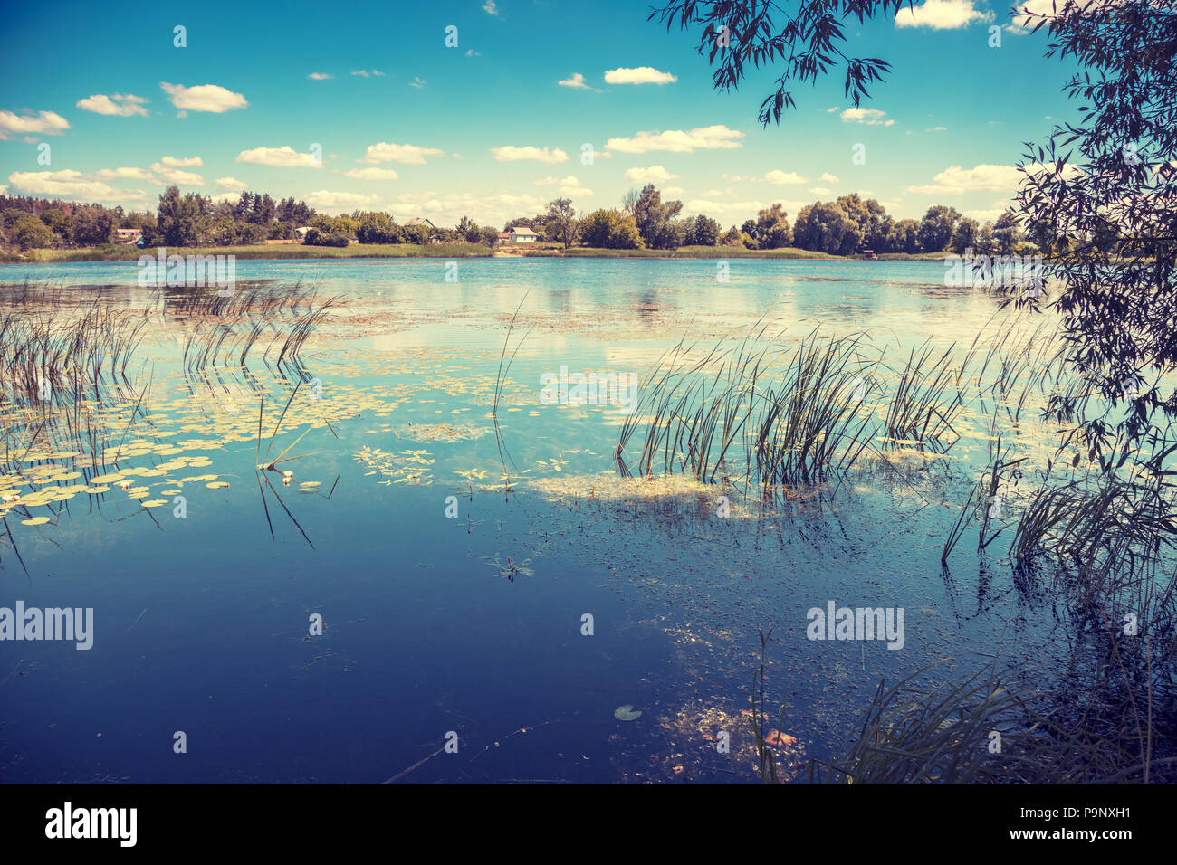 Beautiful lake bank in sunny hi-res stock photography and images - Alamy