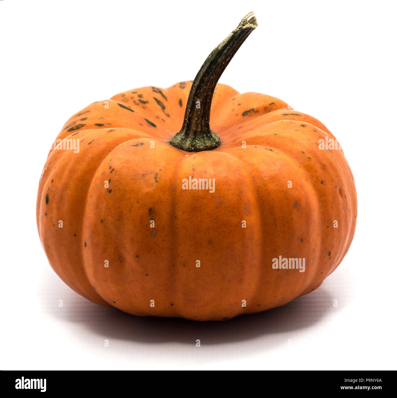 One whole orange pumpkin isolated on white background Stock Photo - Alamy