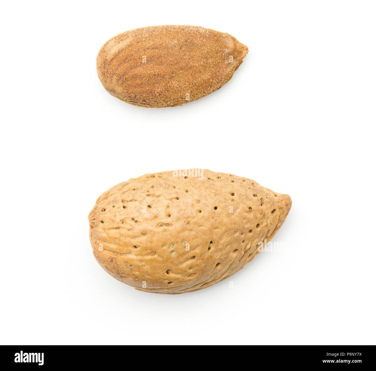 Almond hull kernel shell hires stock photography and images Alamy