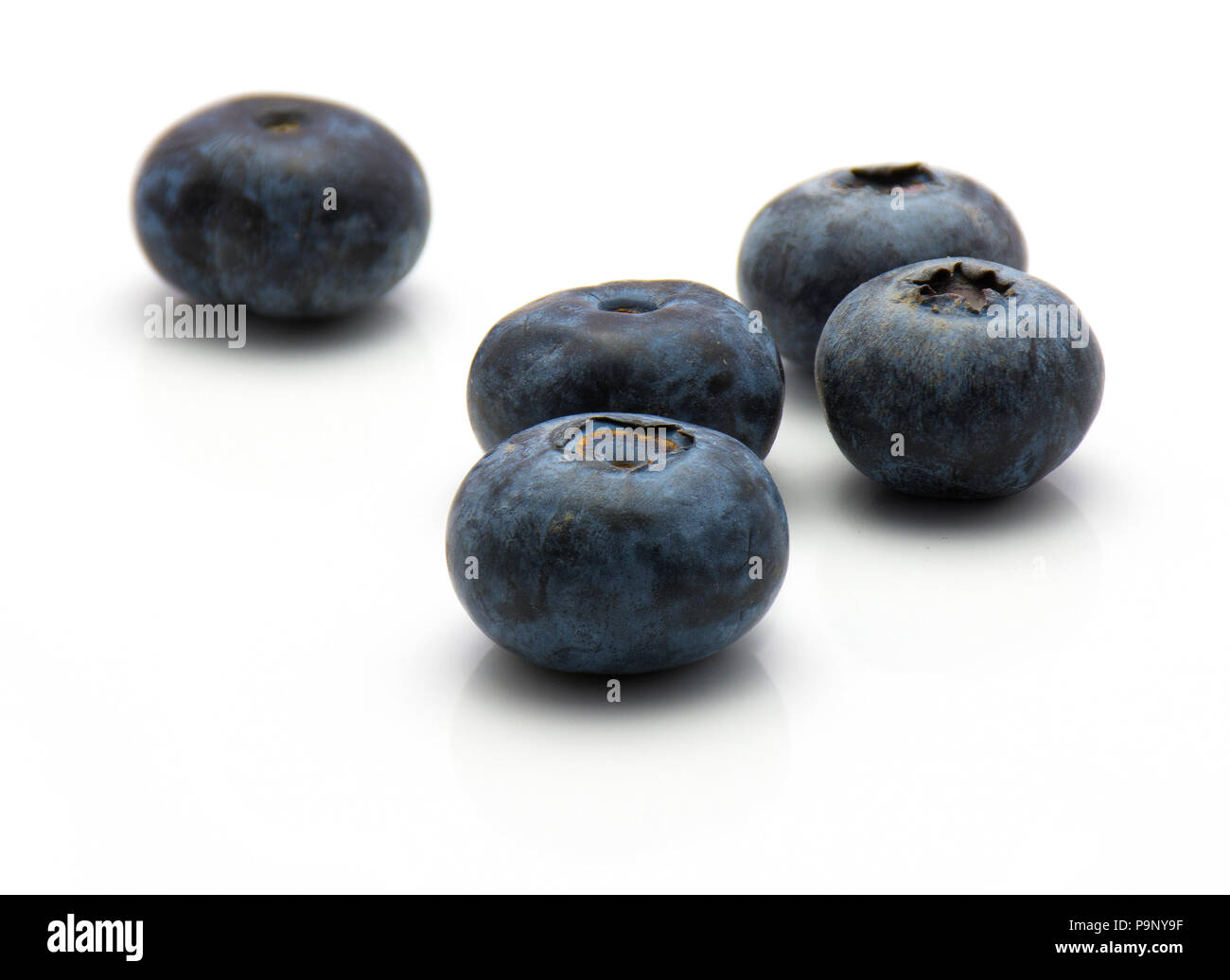 Bog blueberries isolated on white background five whole Stock Photo