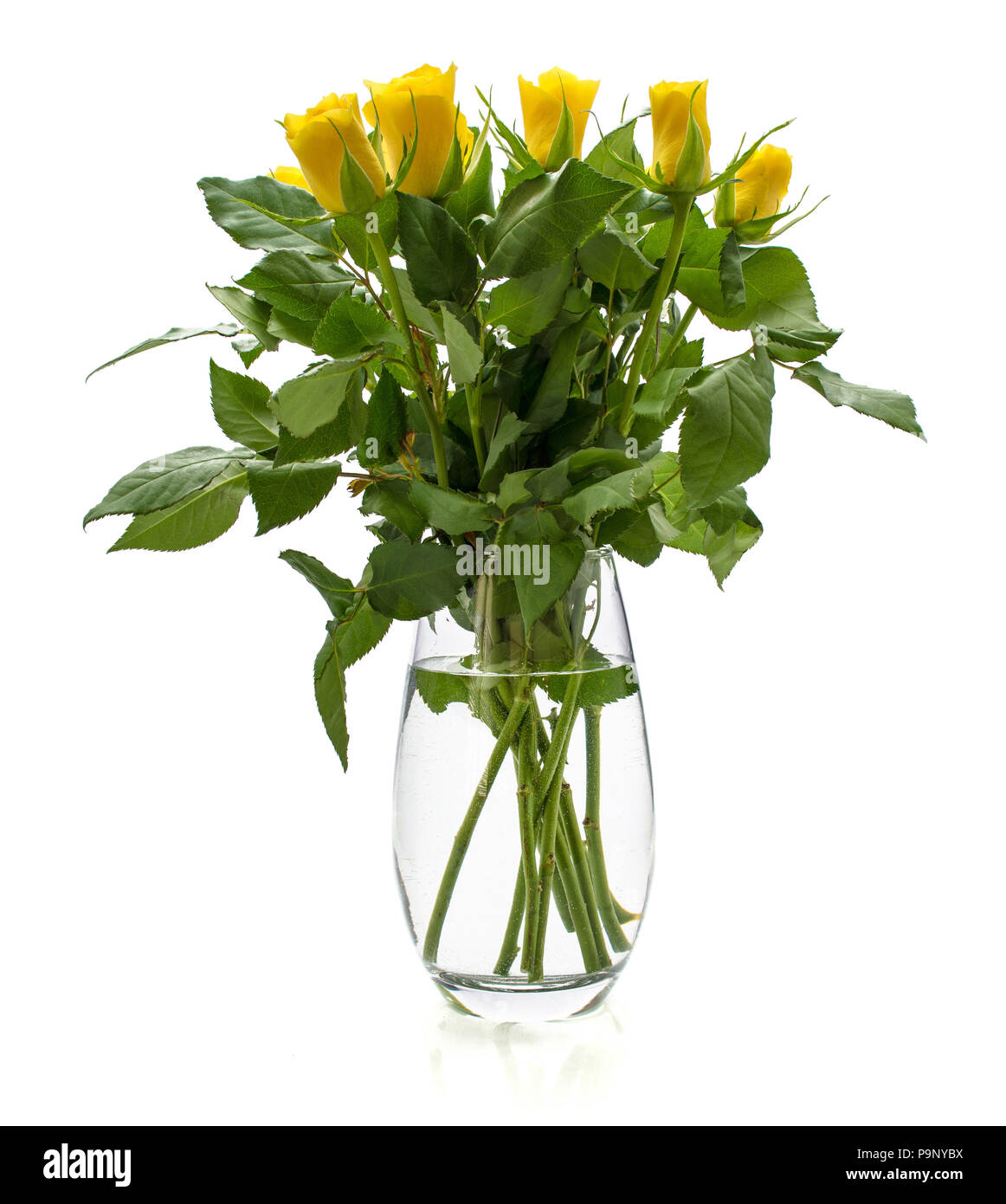 Bouquet Of Fresh Cut Yellow Roses In Glass Vase Isolated On White