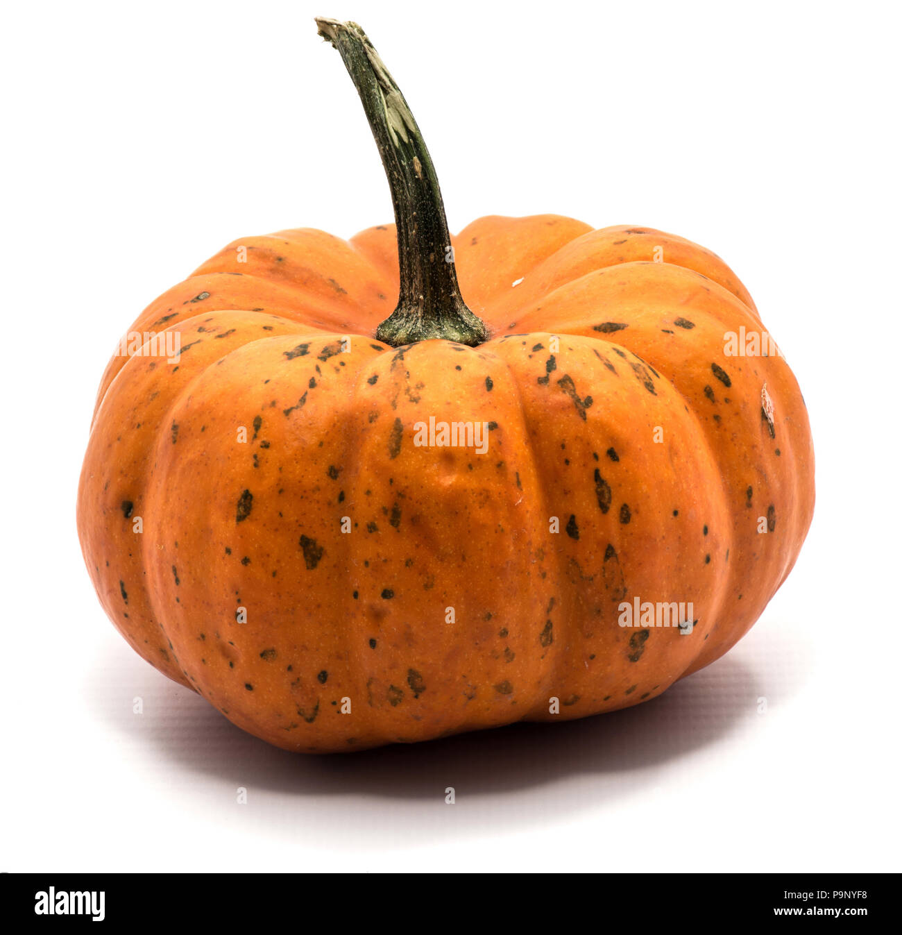 One whole orange pumpkin isolated on white background Stock Photo - Alamy