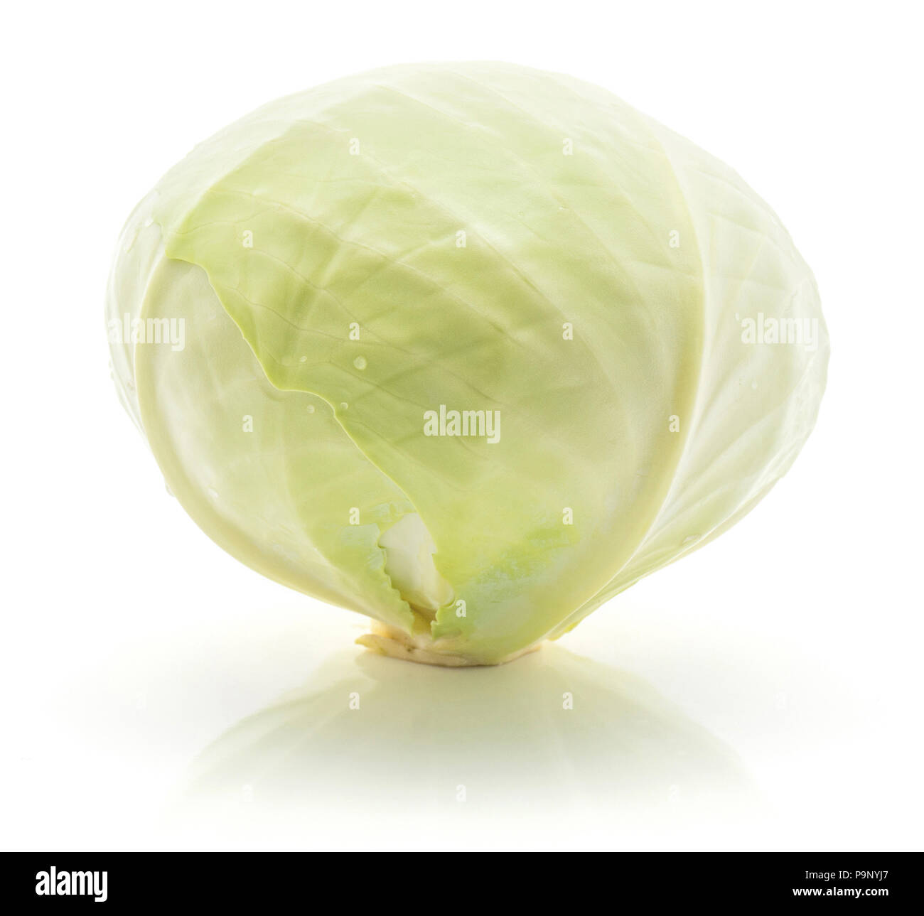 White cabbage isolated on white background one whole head Stock Photo