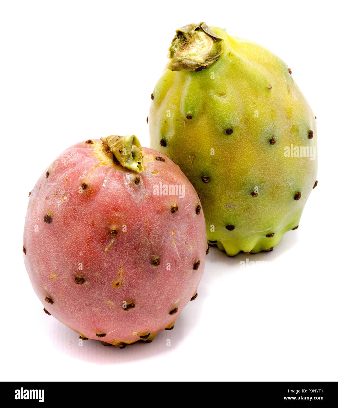 Two whole prickly pears, pink and green yellow isolated on white ...