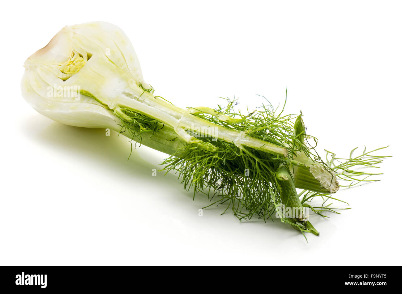 One florence fennel bulb half isolated on white background Stock Photo