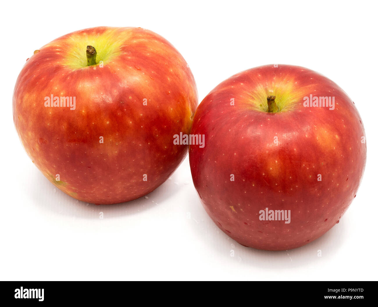 Two whole red Kanzi apples isolated on white background Stock Photo Alamy