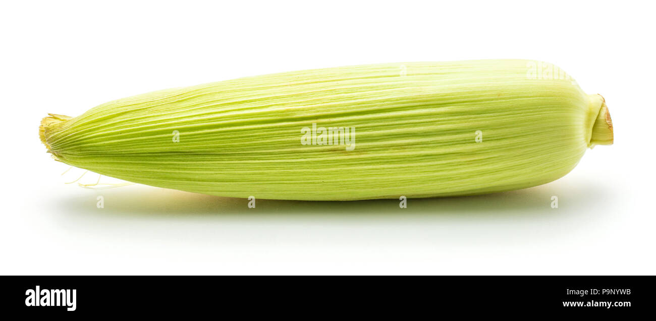 Pale Corn Maize cob pale hi-res stock photography and images - Alamy