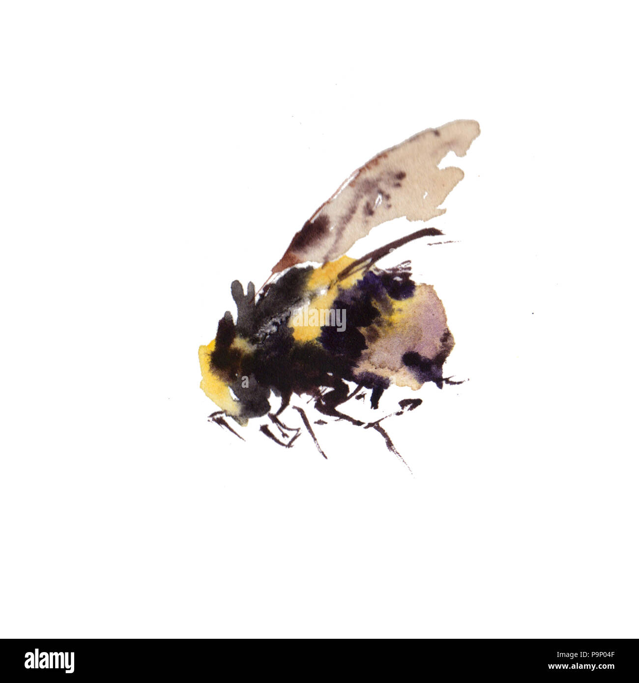 Watercolor bees isolated on white background. hand drawn watercolor illustration Stock Photo