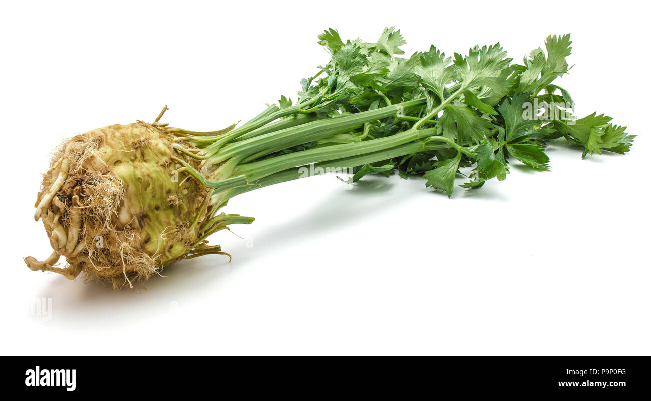 Celery Bulb High Resolution Stock Photography and Images Alamy