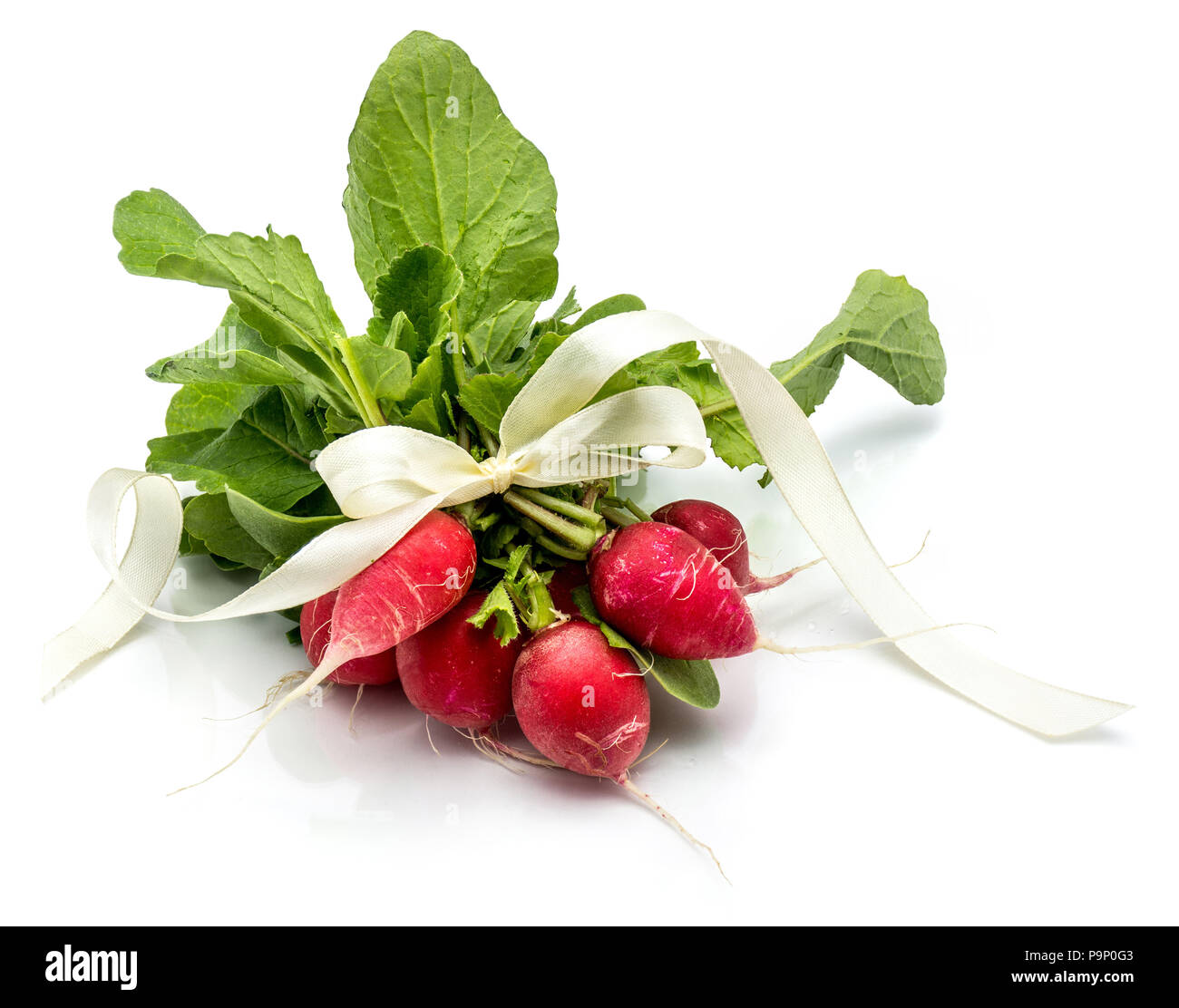 Bunch of whole red radish with fresh green leaves tied by ivory bowknot ...