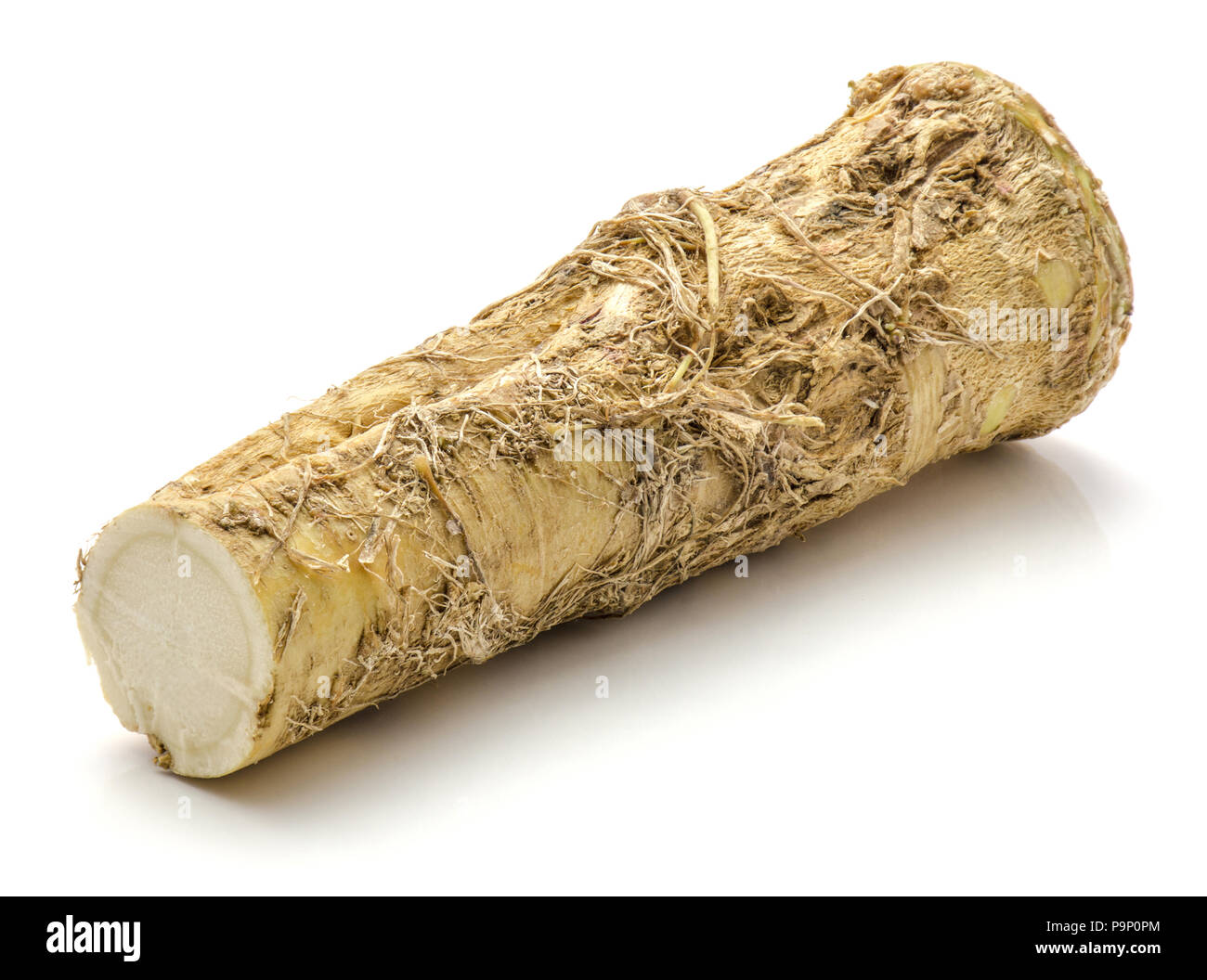 Fresh horseradish root isolated on white background one half Stock