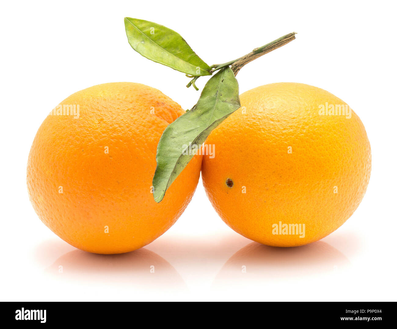 Two oranges with green leaf isolated on white background Stock Photo