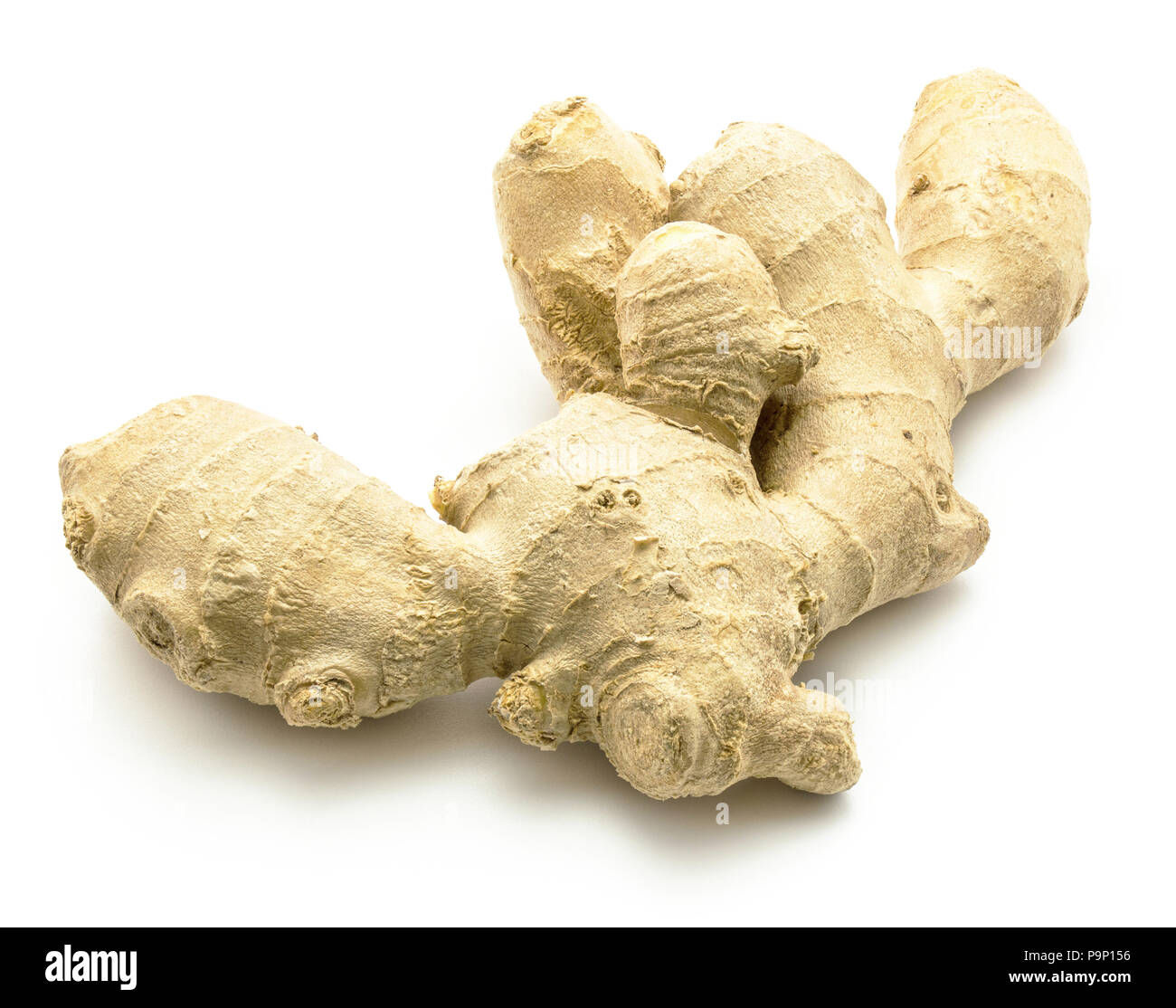 One ginger rhizome isolated on white background Stock Photo