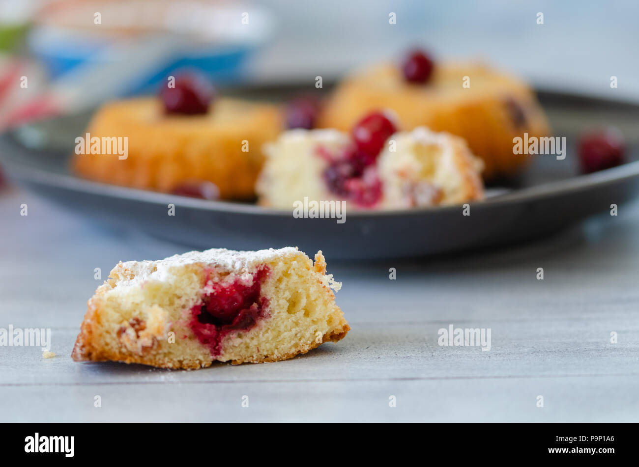 Iced Sponge Frozen ice cream fruitcake hi-res stock photography and images - Alamy