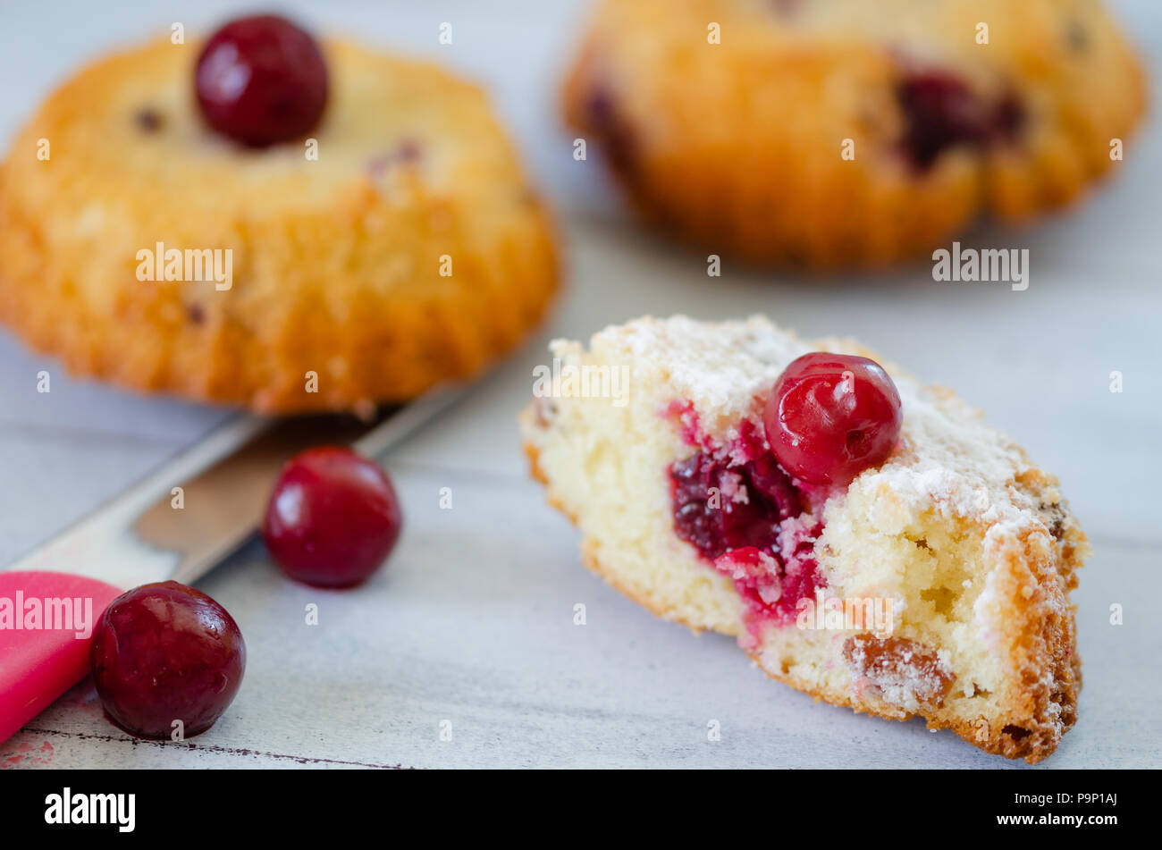Iced Sponge Frozen ice cream fruitcake hi-res stock photography and images - Alamy