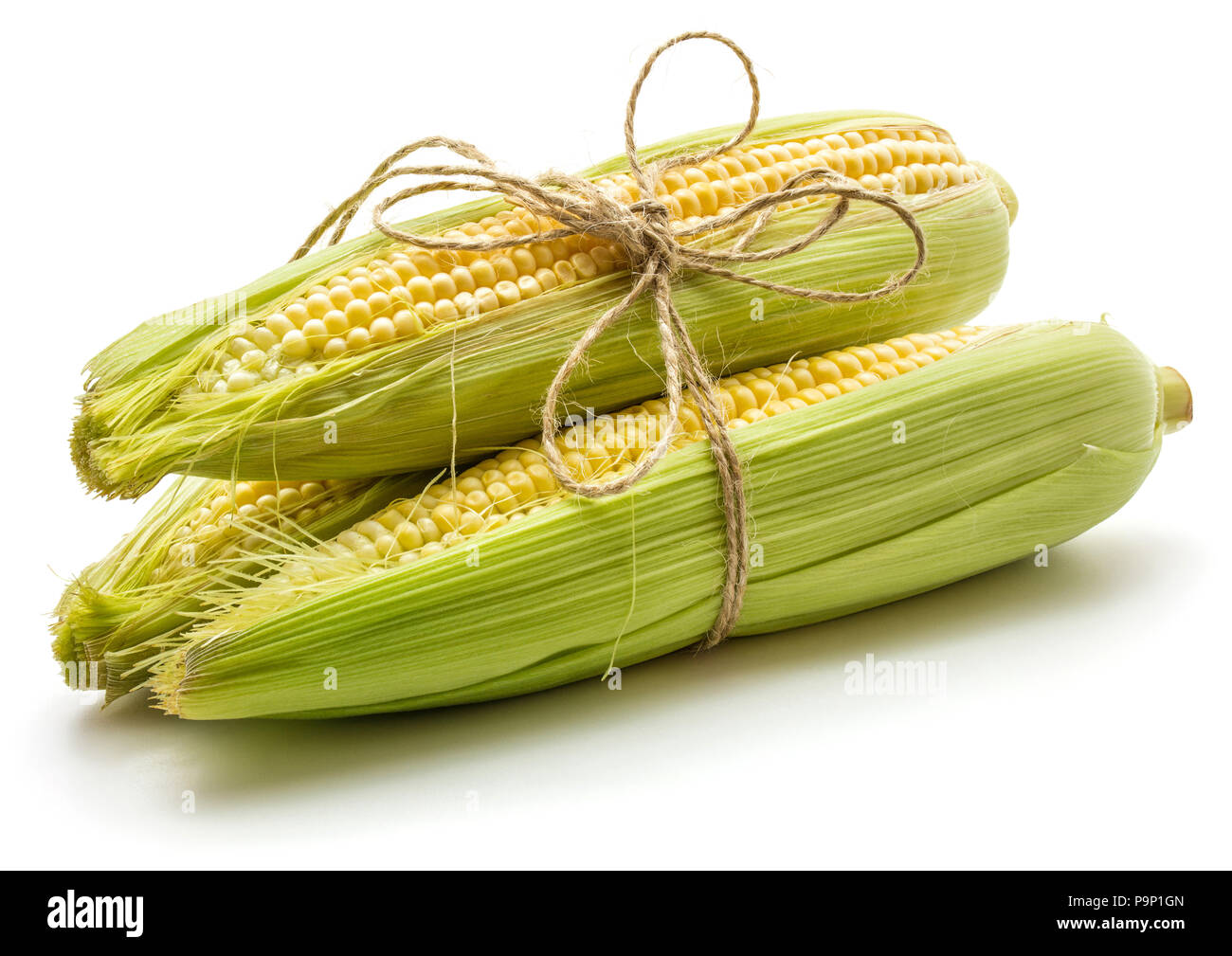 Three corn ears tied by burlap rope isolated on white background Stock ...