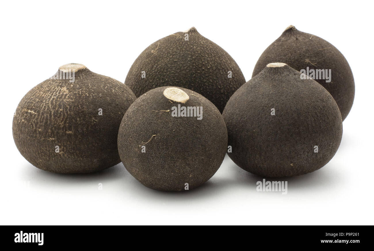 Black radish five fresh bulb roots stack isolated on white background Stock Photo