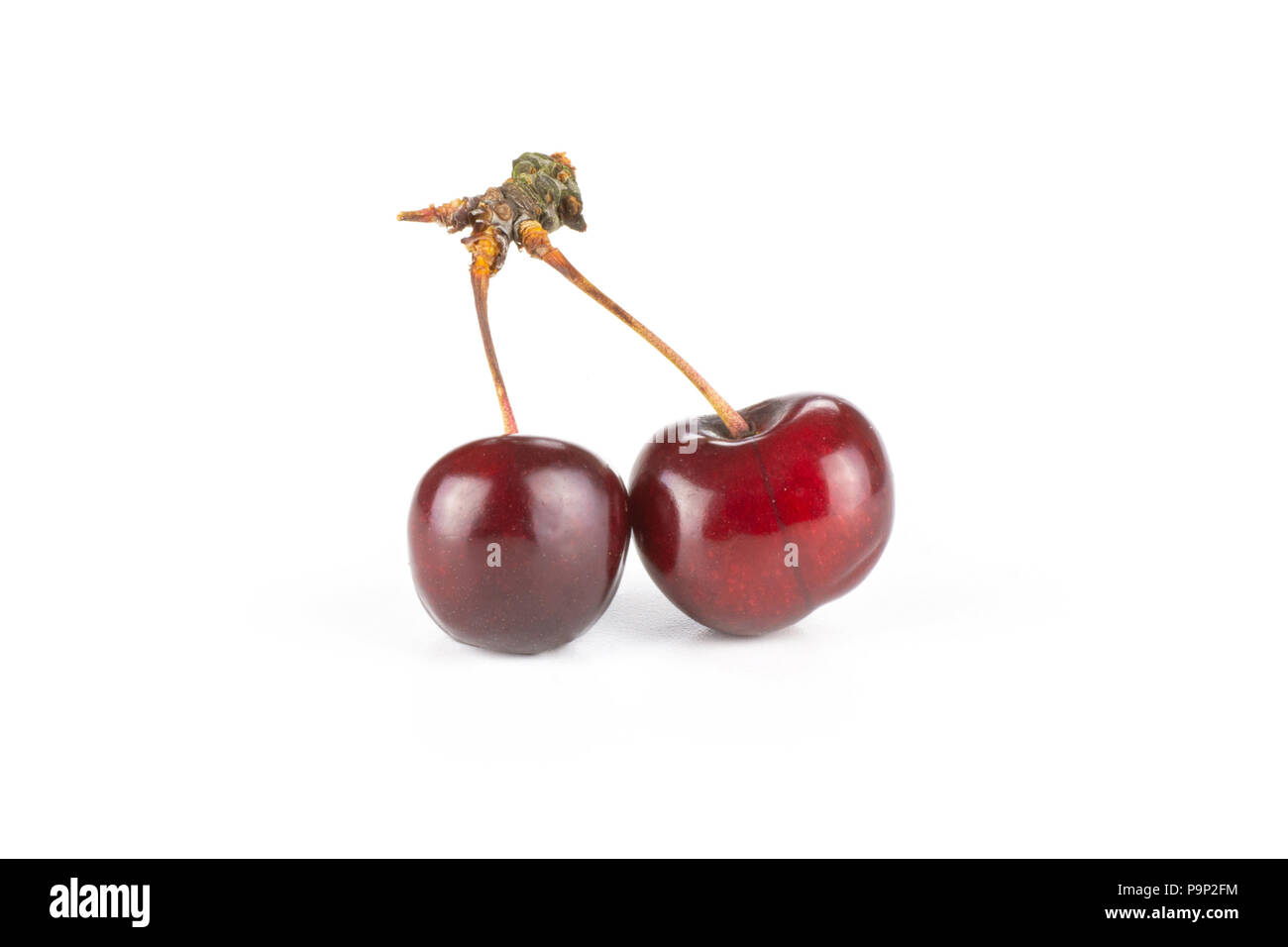 Group of two whole sweet bright red cherry with a joined stem isolated on white Stock Photo