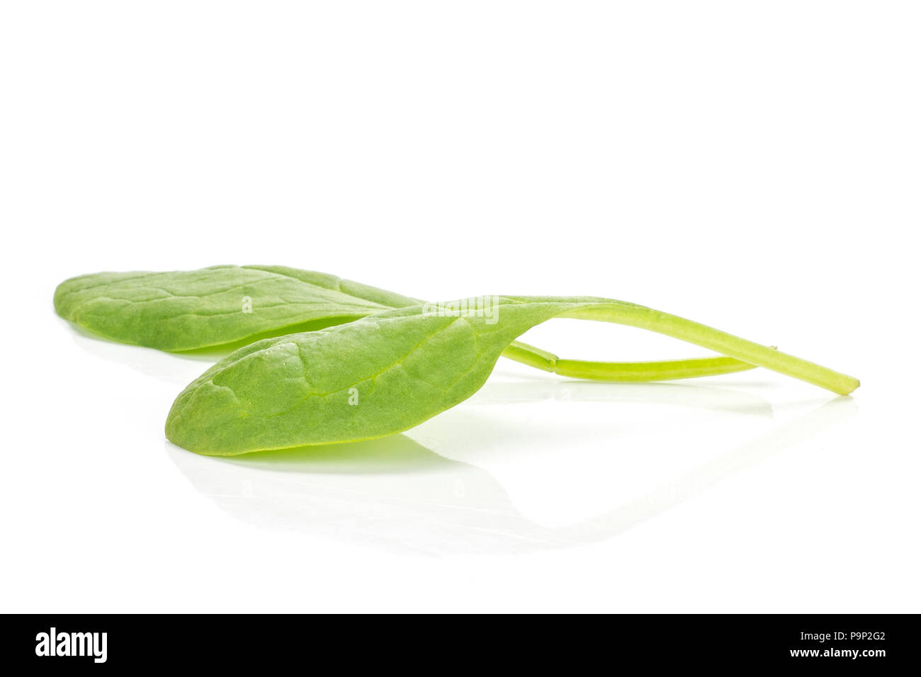 Fresh baby spinach isolated on white background two green single leaves Stock Photo