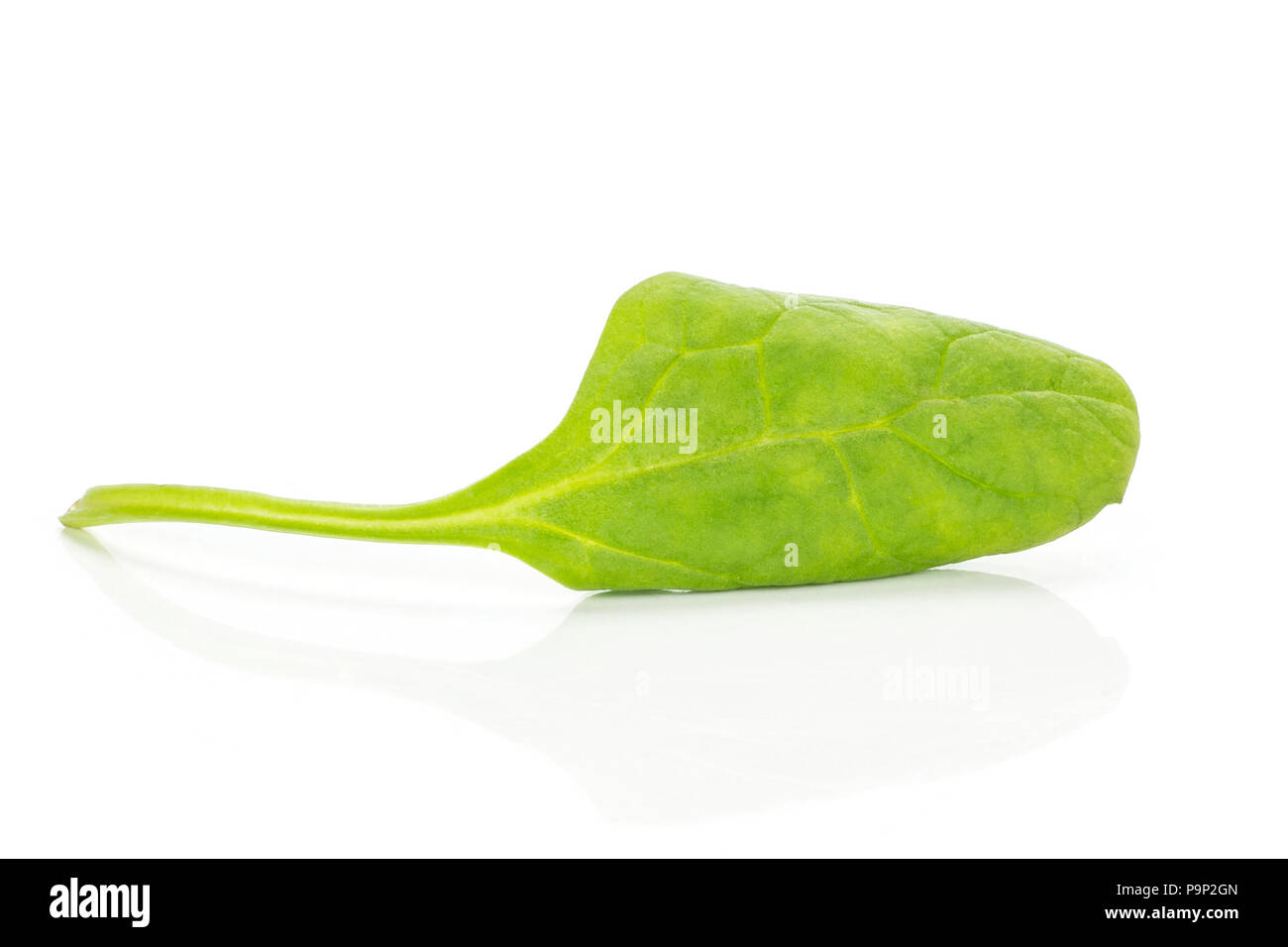 Fresh baby spinach isolated on white background one green leaf Stock Photo