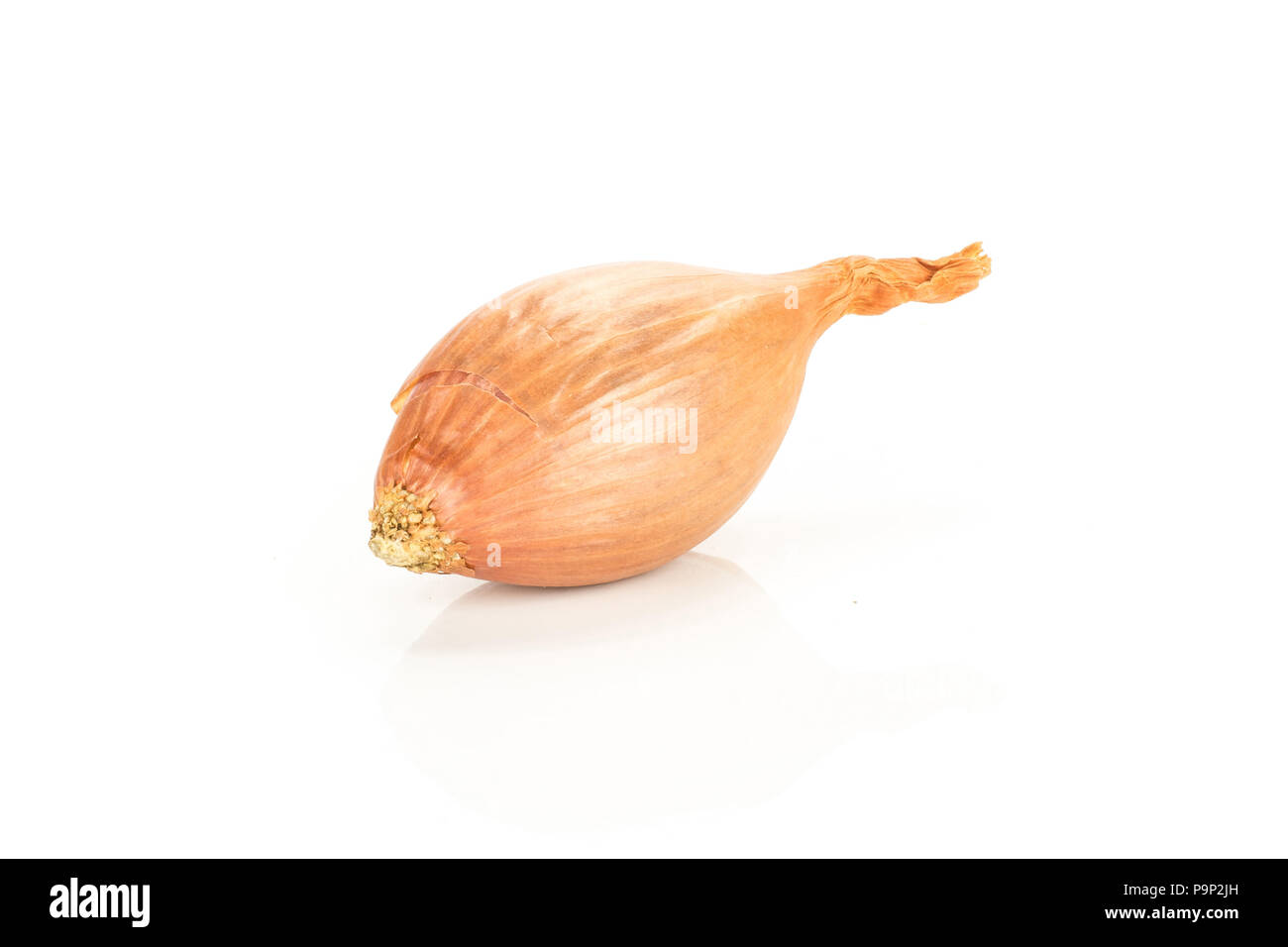One unpeeled shallot isolated on white background Stock Photo