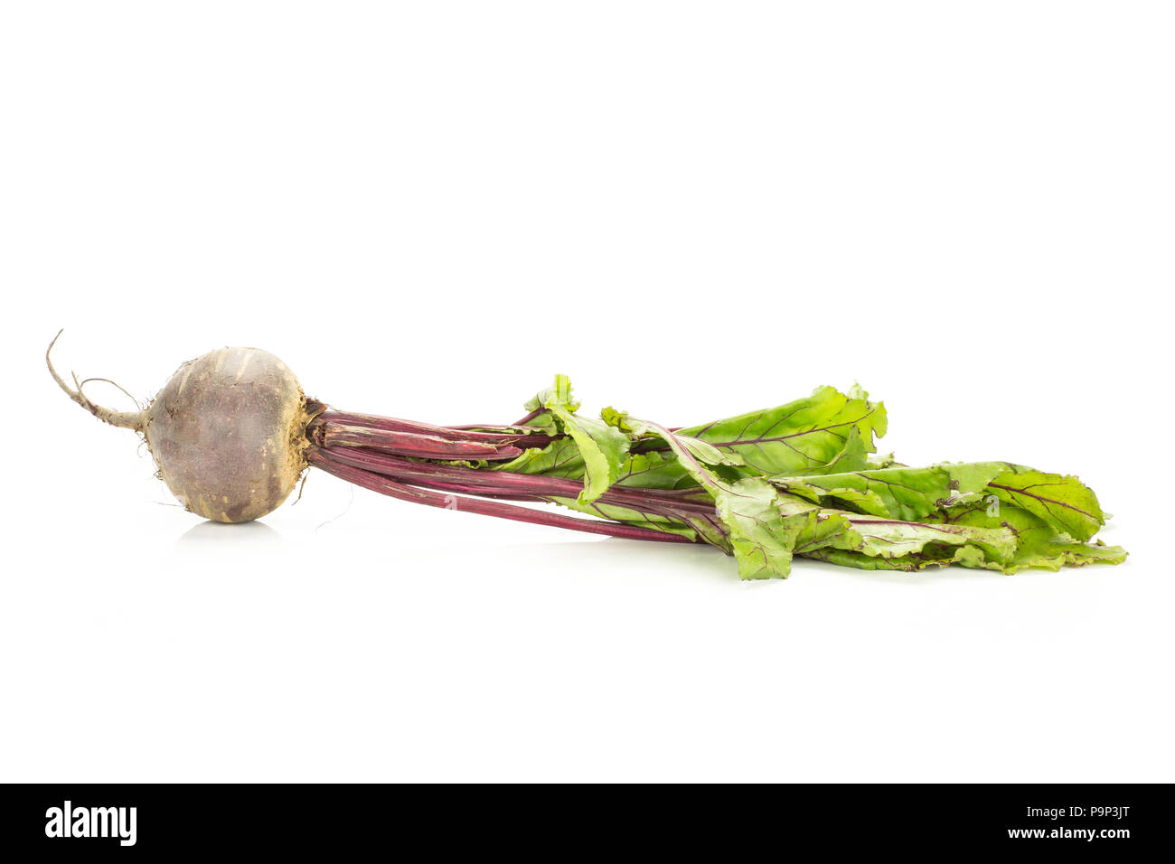 Red beet with greens isolated on white background one bulb root with ...