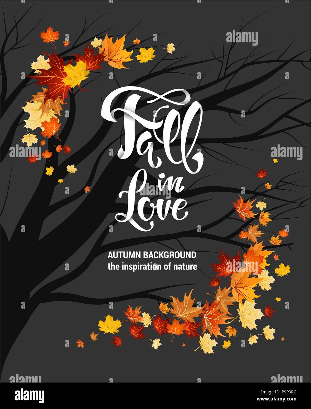 leaves as frame on dark Stock Vector Image & Art - Alamy