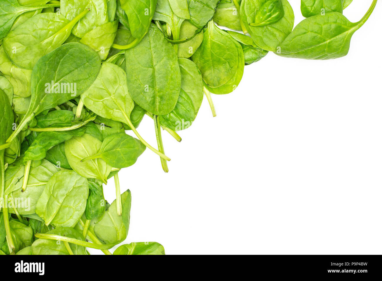 Fresh baby spinach leaves top view isolated on white background left upper corner Stock Photo