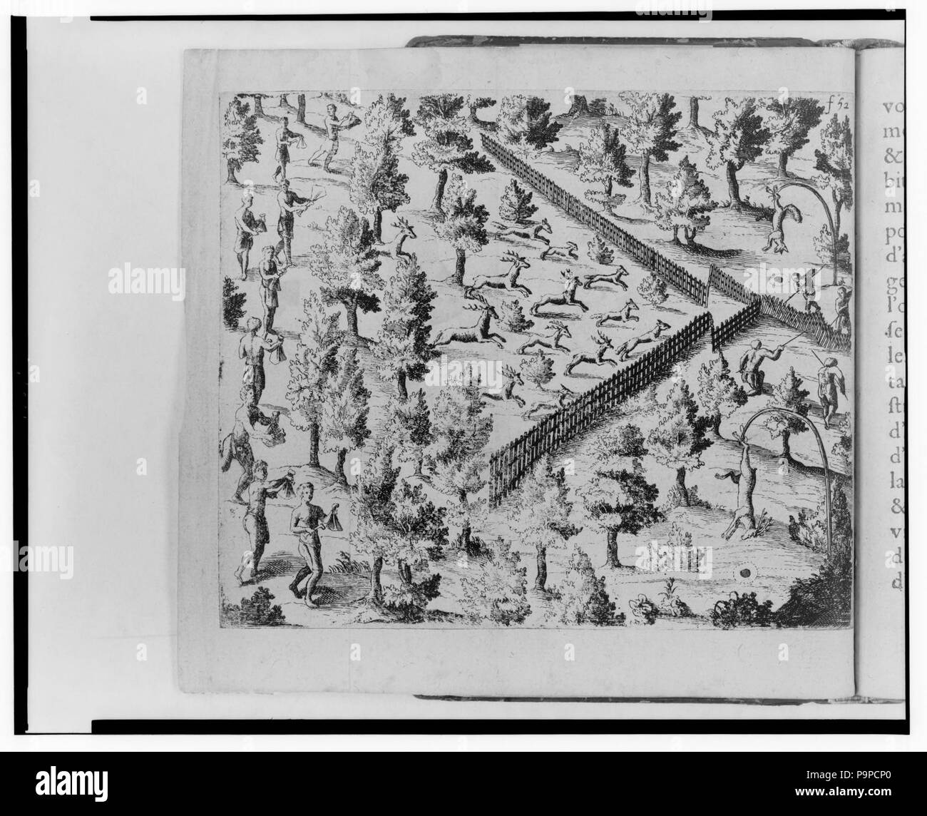 A method of hunting deer in the Northeast Stock Photo Alamy