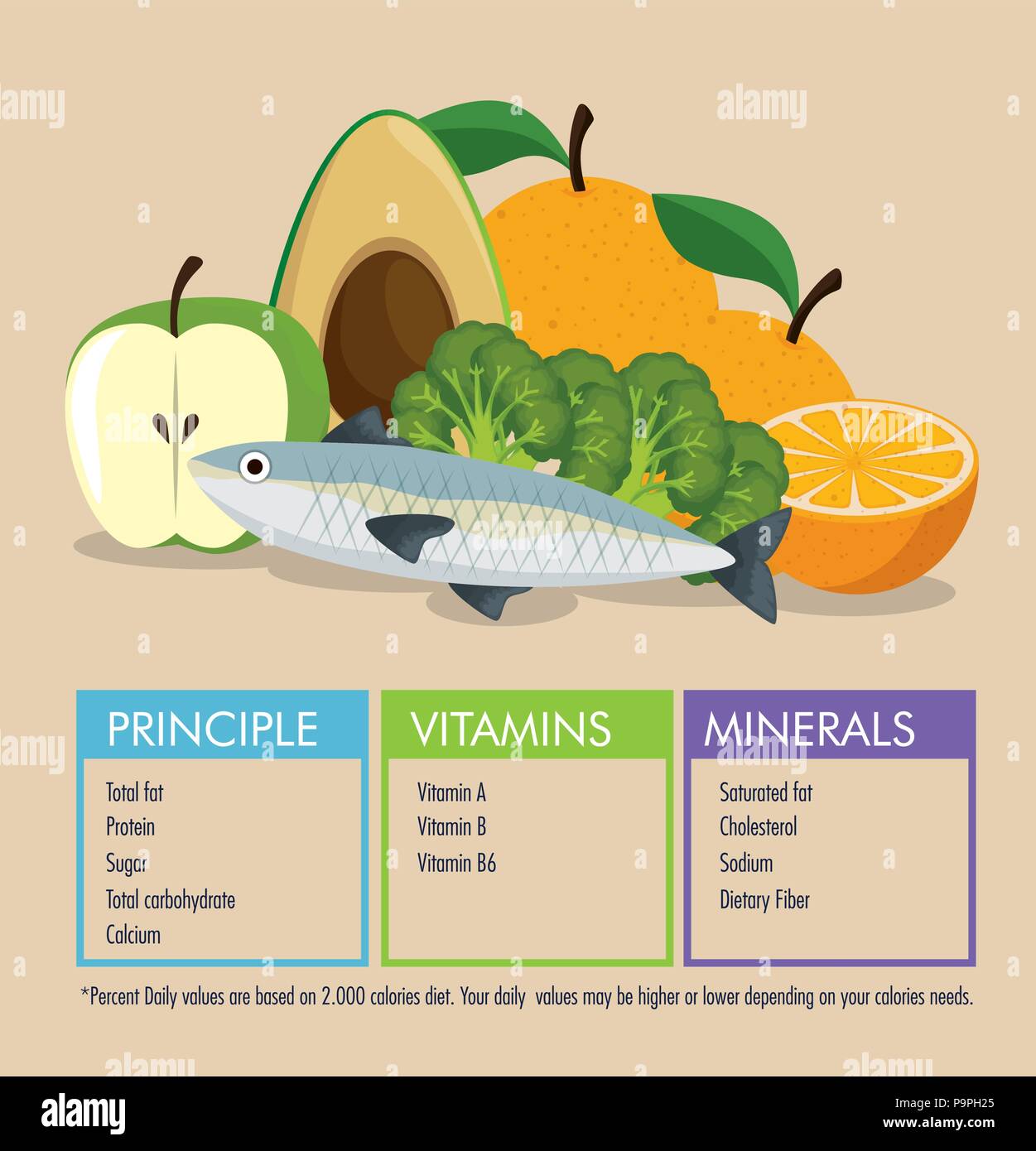 healthy food with nutritional facts vector illustration design Stock ...