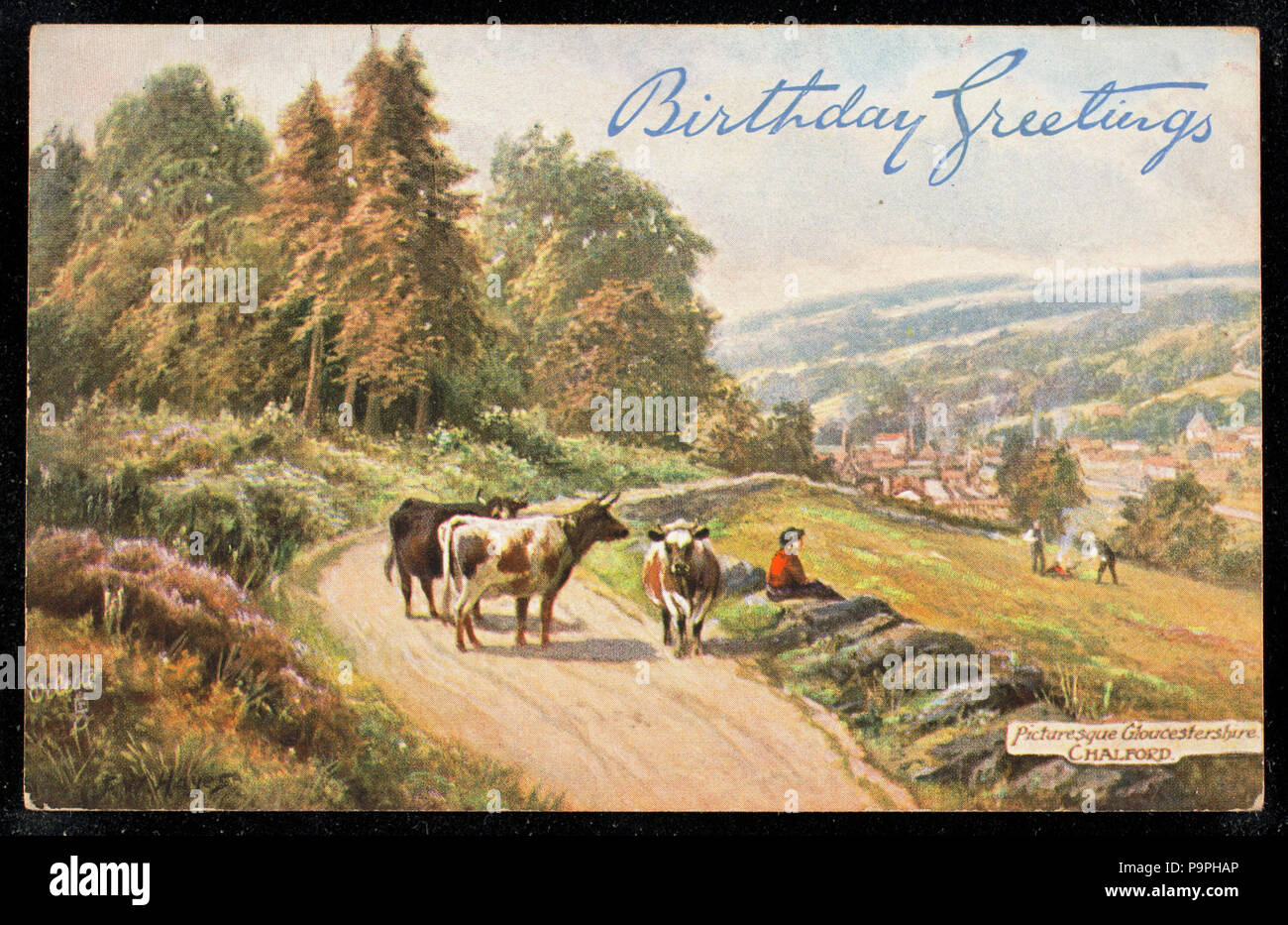 207 Birthday Greetings Nby 443517 Stock Photo Alamy