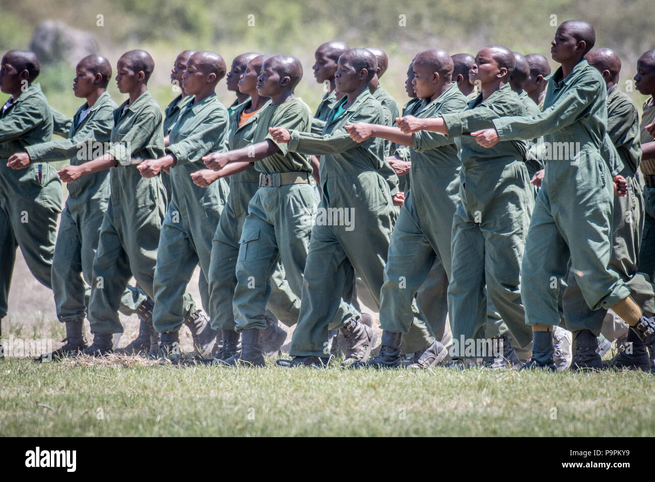 Hawange national park hires stock photography and images Alamy