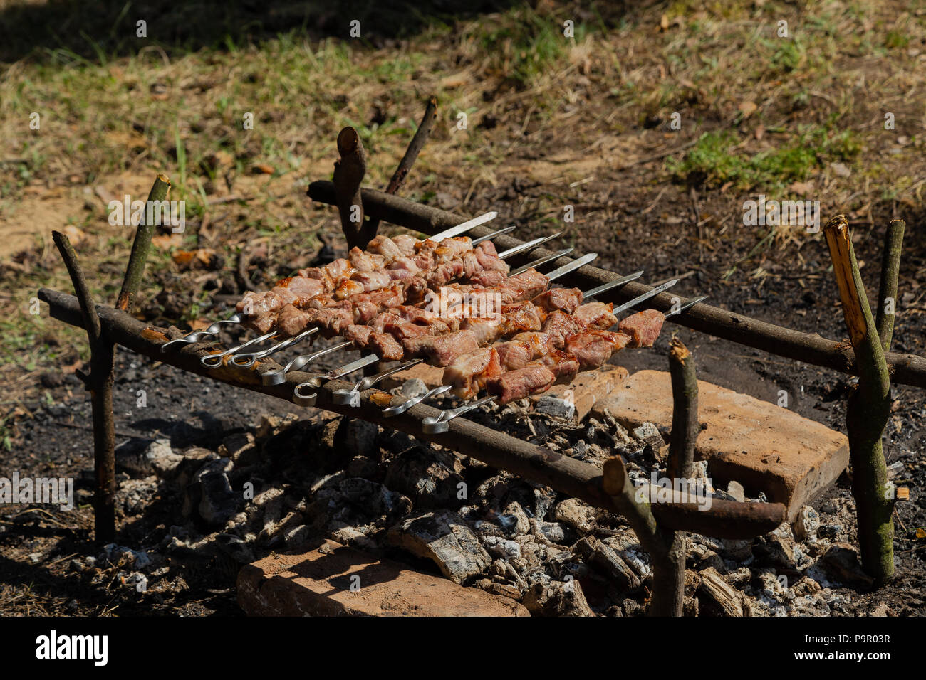 Shish kebab roast on charcoal. Shish kebab on skewers in the forest