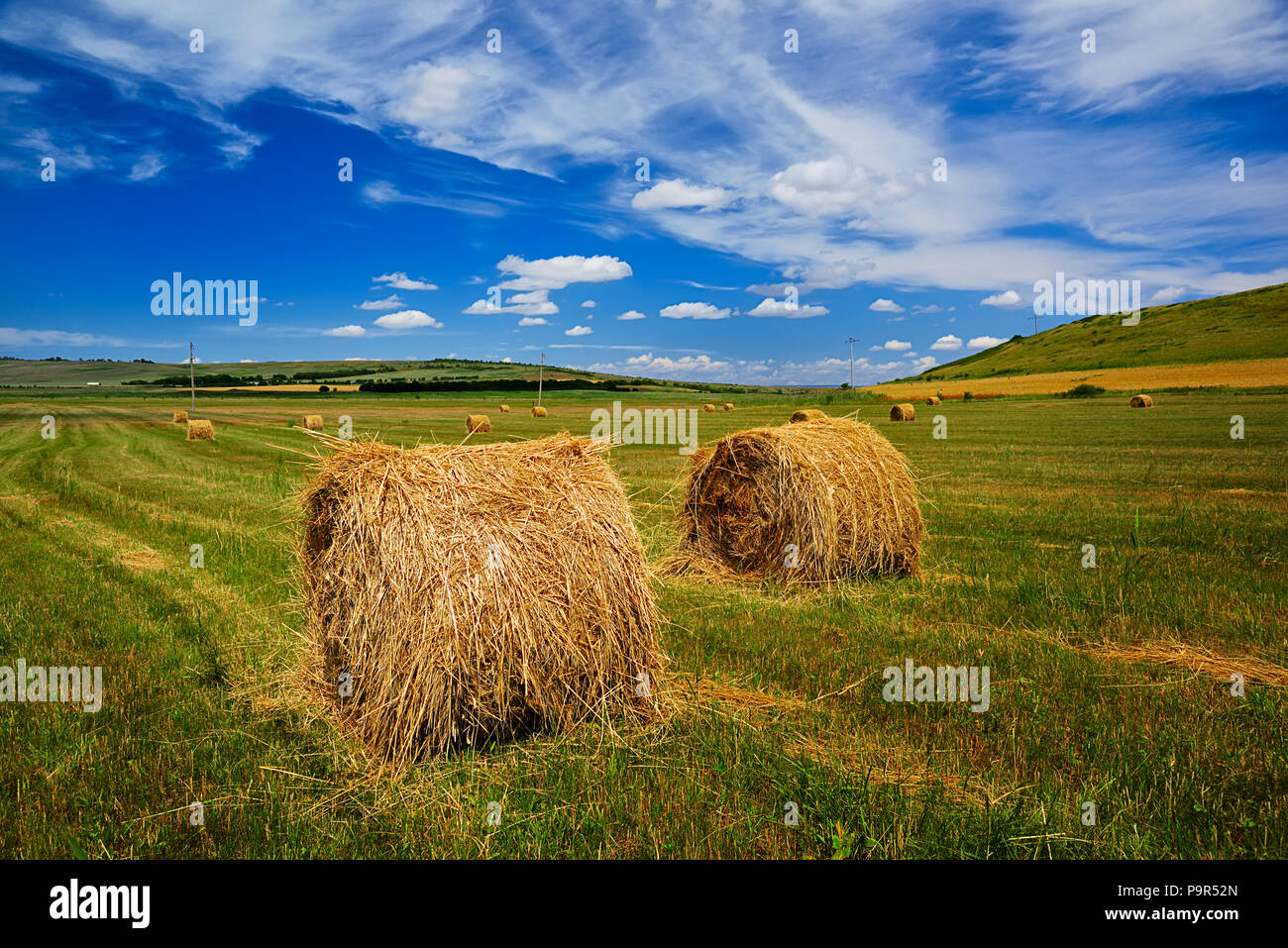 Crop circle natural scenery hi-res stock photography and images - Alamy