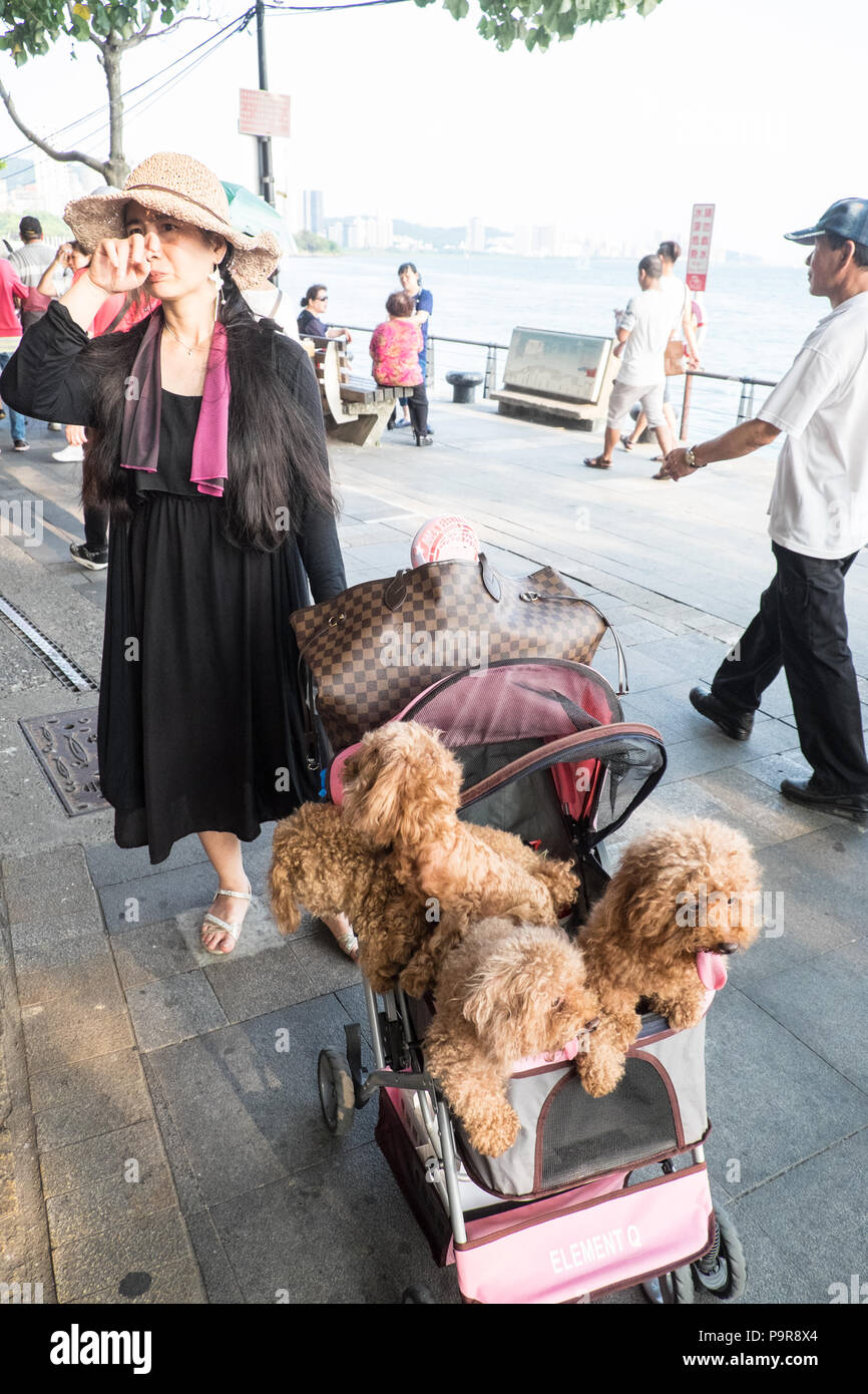 Dog trolley taiwan hires stock photography and images Alamy