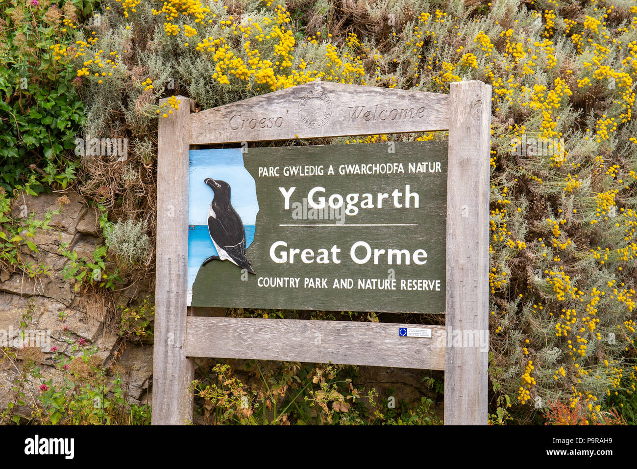 Welcome to Great Orme Country Park and Nature Reserve sign in Llandudno North Wales UK Stock Photo