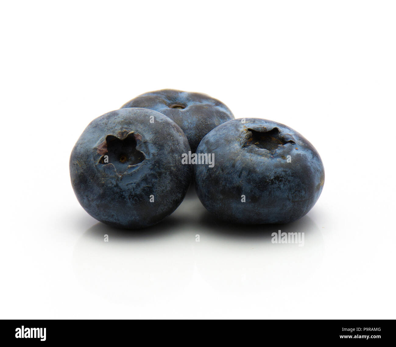 Three picked bog blueberries isolated on white background Stock Photo