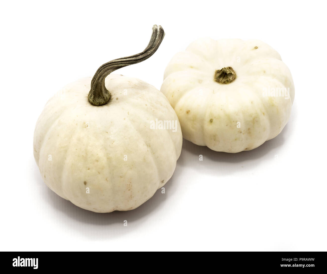Two whole white pumpkins isolated on white background Stock Photo - Alamy