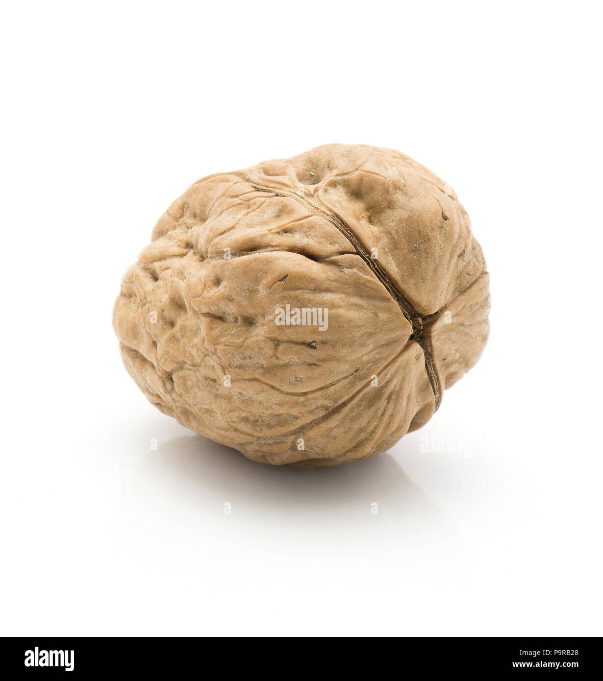 One unshelled walnut isolated on white background Stock Photo Alamy