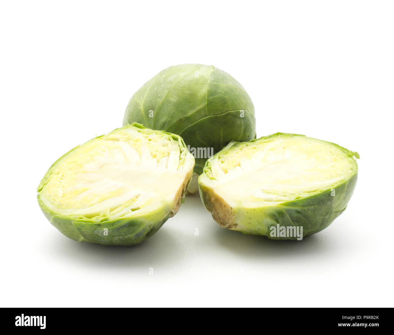 sprout head